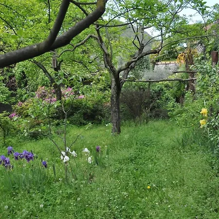 Holiday home Maggiore - - Piano Primo - La Casaccia